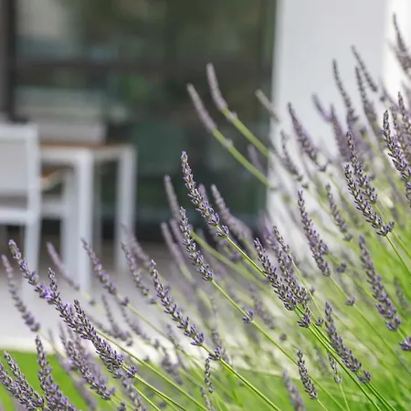 By The Sea Nska, Krk - 21692 Malinska